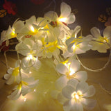 1 Set of 20 LED White Frangipani Flower Battery String Lights