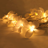 1 Set of 20 LED White Frangipani Flower Battery String Lights