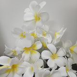 1 Set of 20 LED White Frangipani Flower Battery String Lights