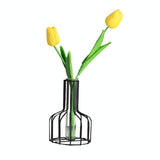 Black Wrought Iron Hydroponic Glass Flower Decoration - no Fake Flowers - Gold