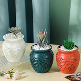 Hydroponic Vase for Home Flower Arrangements - Wet and Dry - Rose Pink
