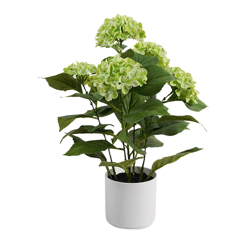 Potted Artificial Green Hydrangea 50cm